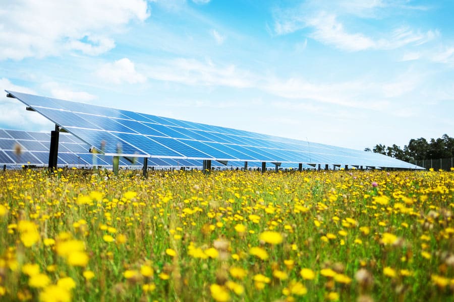 Solarparks kommen immer häufiger ohne EEG-Förderung aus