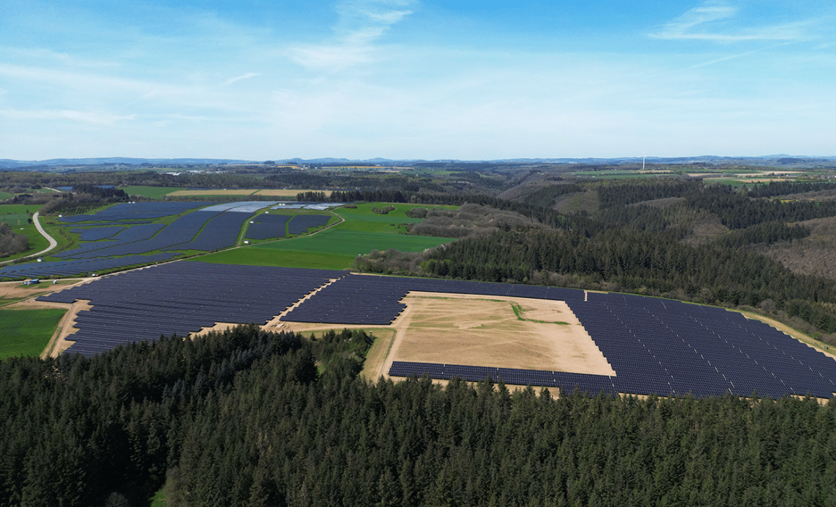 Artikel erschienen im pv magazine: Solarpark Hasborn erweitert die PV-Landschaft in Rheinland-Pfalz