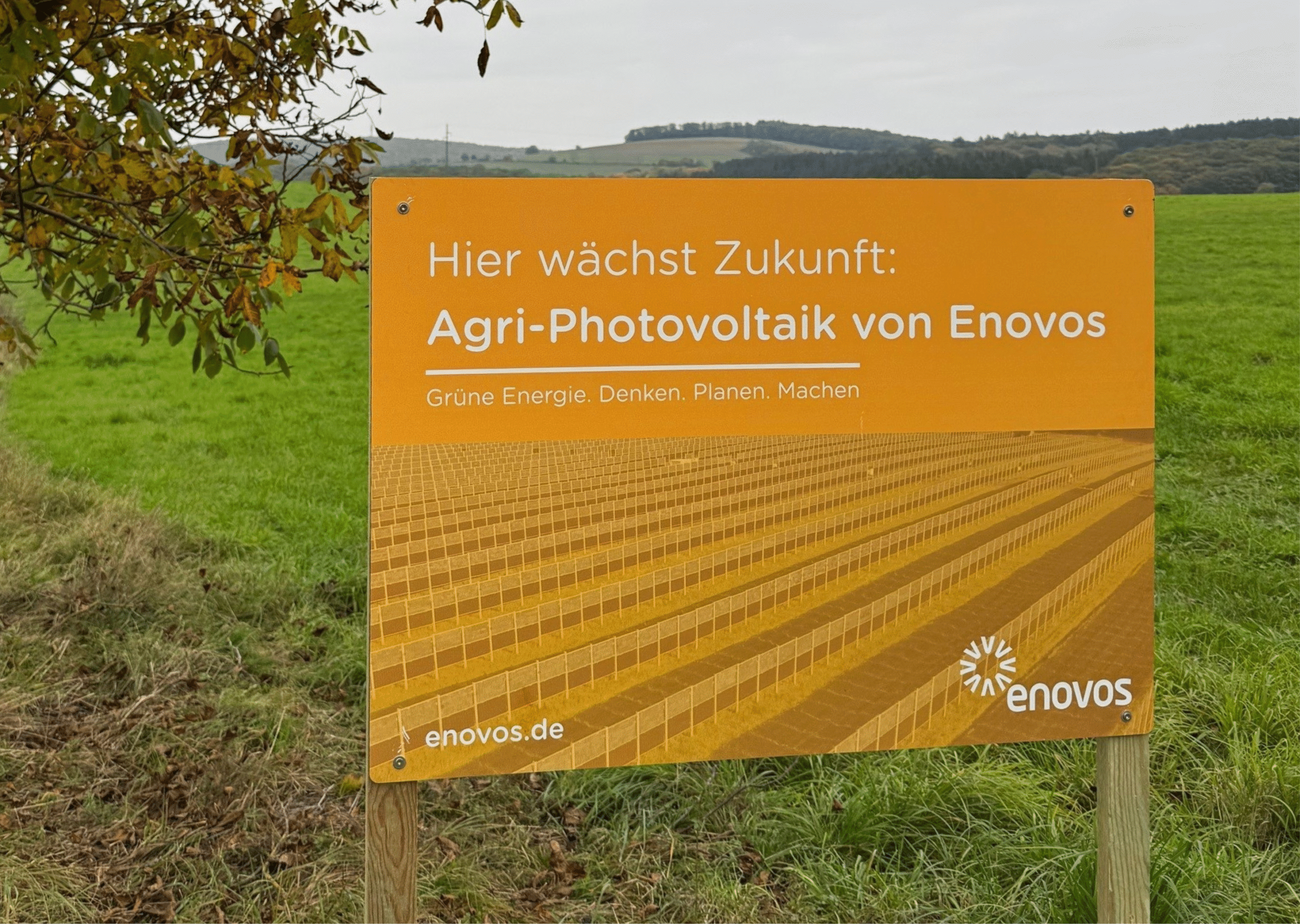 Hier entsteht Agri-PV von Wes Green